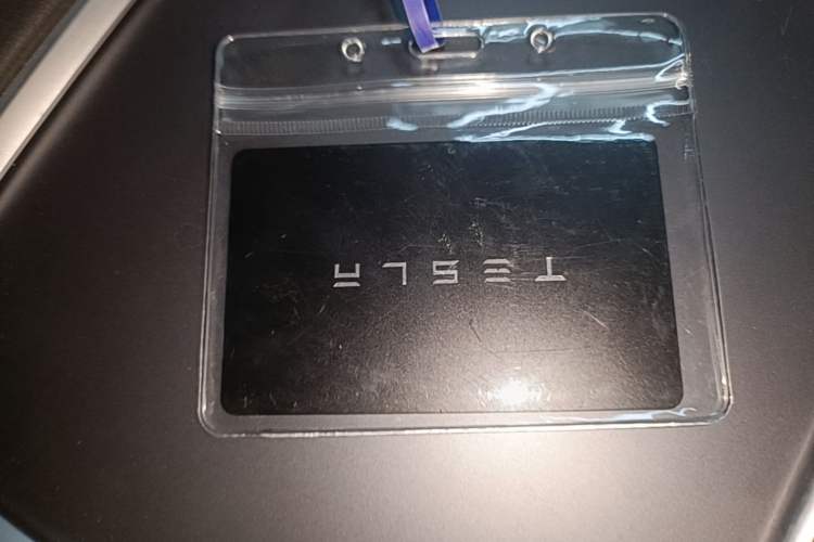 Used Tesla Model 3 2022 Rear-Wheel-Drive Version Vehicle Key