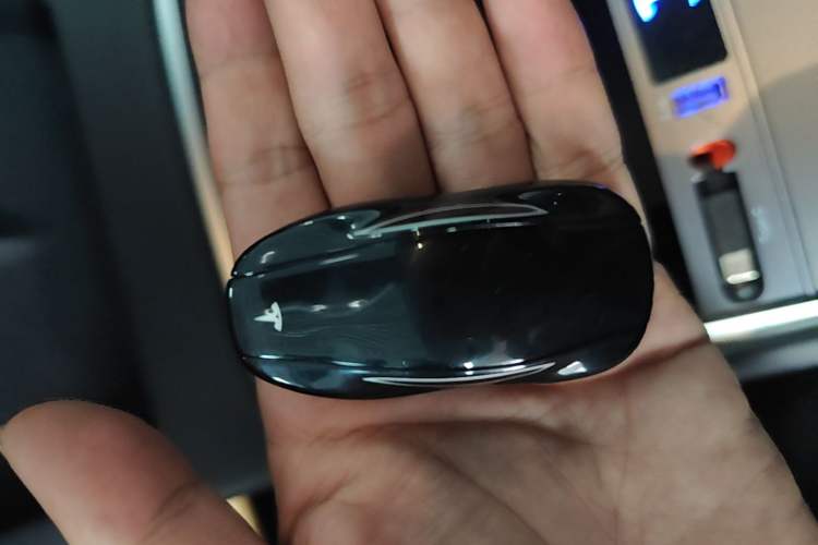 Used Tesla Model 3 2022 Rear-Wheel-Drive Version Vehicle Key
