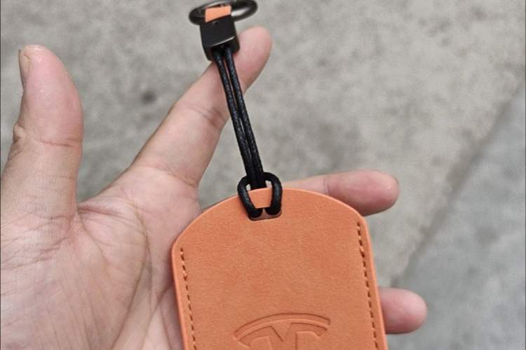 Used Tesla Model 3 2022 Rear-Wheel-Drive Version Vehicle Key