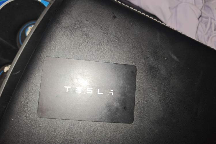 Used Tesla Model 3 2022 Rear-Wheel-Drive Version Vehicle Key