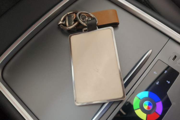 Used Tesla Model 3 2022 Rear-Wheel-Drive Version Vehicle Key