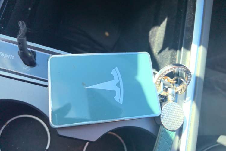 Used Tesla Model 3 2022 Rear-Wheel-Drive Version Vehicle Key
