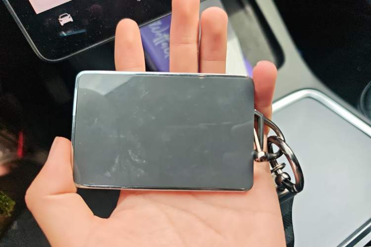 Used Tesla Model 3 2022 Rear-Wheel-Drive Version Vehicle Key