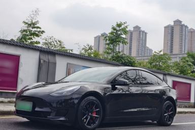 Used Tesla Model 3 2022 Rear-Wheel-Drive Version