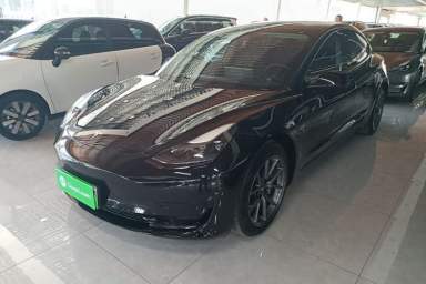 Used Tesla Model 3 2022 Rear-Wheel-Drive Version