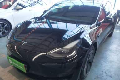 Used Tesla Model 3 2022 Rear-Wheel-Drive Version