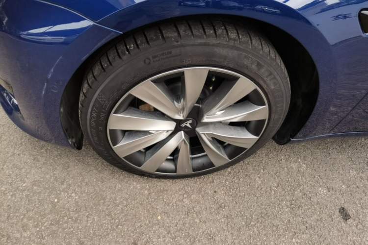 Used Tesla Model 3 2022 Rear-Wheel-Drive Version Exterior 4