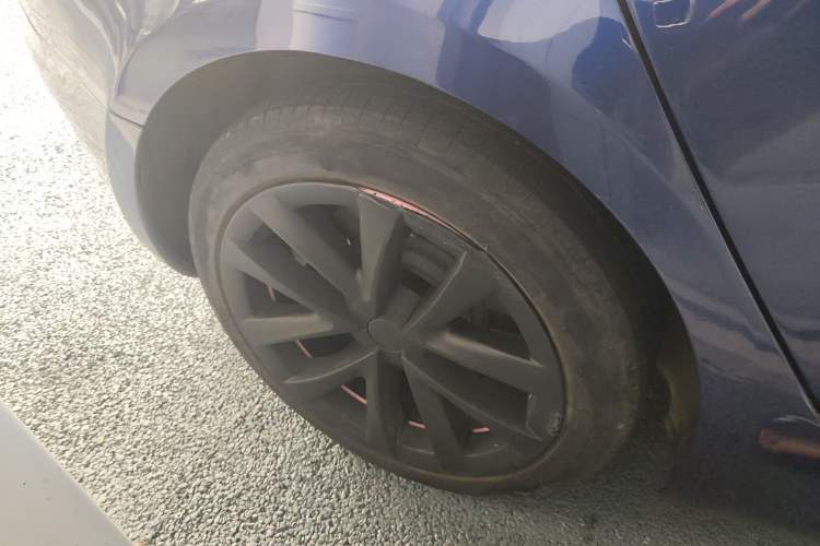 Used Tesla Model 3 2022 Rear-Wheel-Drive Version Exterior 8