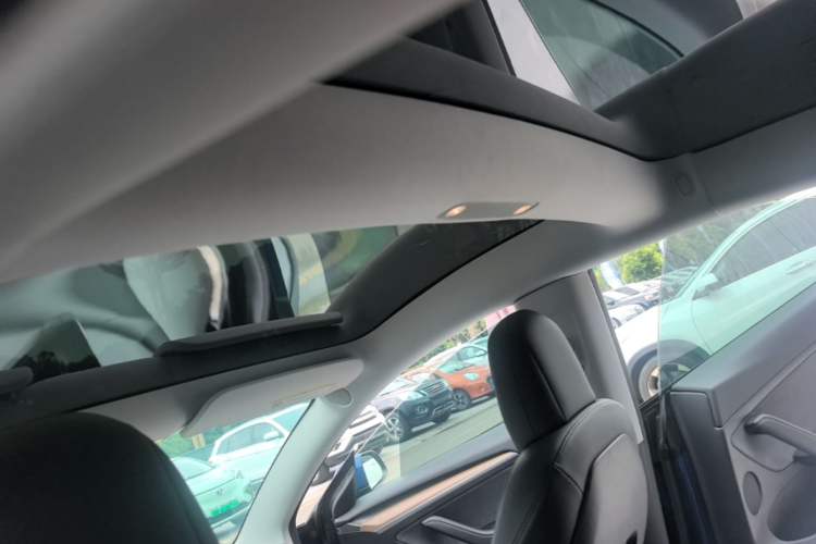 Used Tesla Model 3 2022 Rear-Wheel-Drive Version Headliner