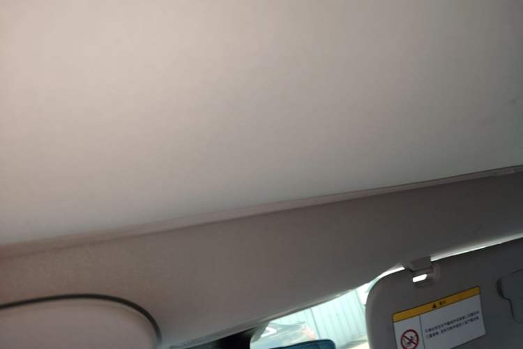 Used Tesla Model 3 2022 Rear-Wheel-Drive Version Headliner