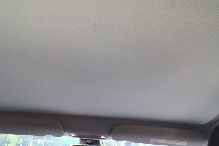 Used Tesla Model 3 2022 Rear-Wheel-Drive Version Headliner