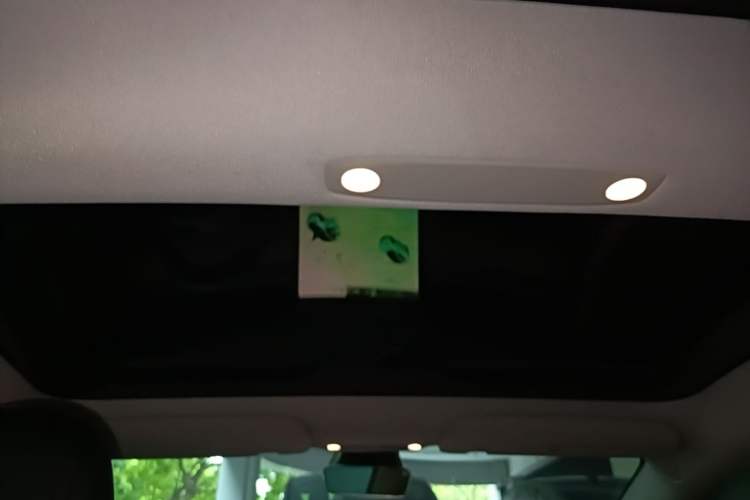 Used Tesla Model 3 2022 Rear-Wheel-Drive Version Headliner
