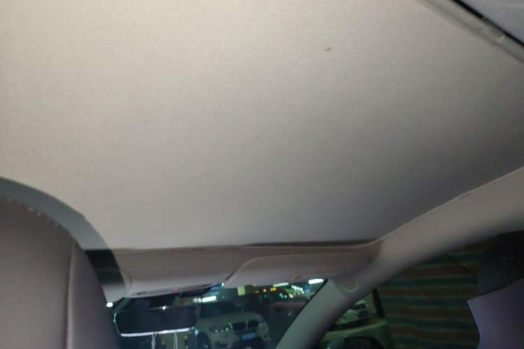 Used Tesla Model 3 2022 Rear-Wheel-Drive Version Headliner