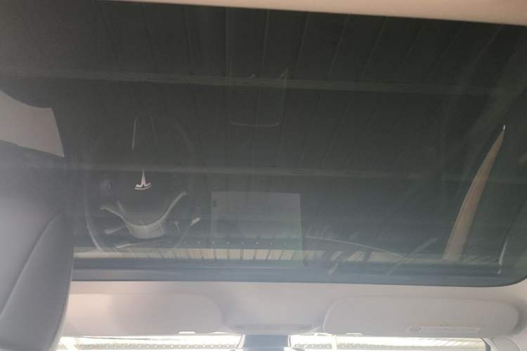 Used Tesla Model 3 2022 Rear-Wheel-Drive Version Headliner