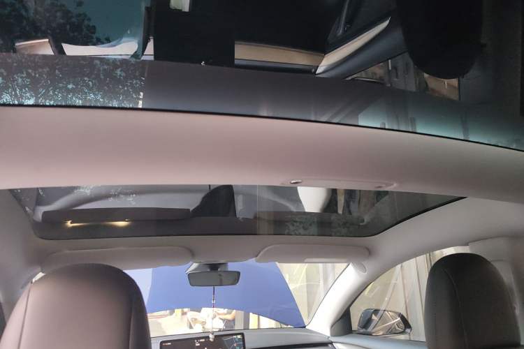 Used Tesla Model 3 2022 Rear-Wheel-Drive Version Headliner