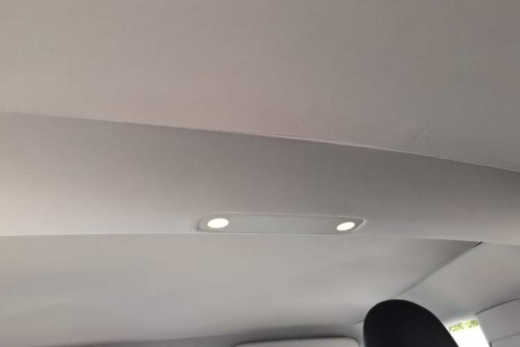 Used Tesla Model 3 2022 Rear-Wheel-Drive Version Headliner
