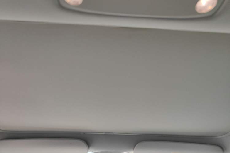 Used Tesla Model 3 2022 Rear-Wheel-Drive Version Headliner
