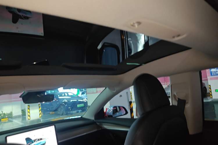 Used Tesla Model 3 2022 Rear-Wheel-Drive Version Headliner