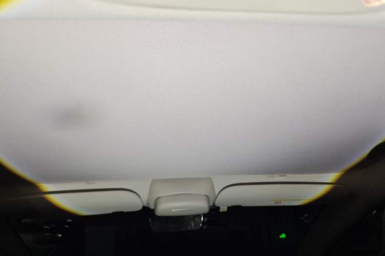 Used Tesla Model 3 2022 Rear-Wheel-Drive Version Headliner