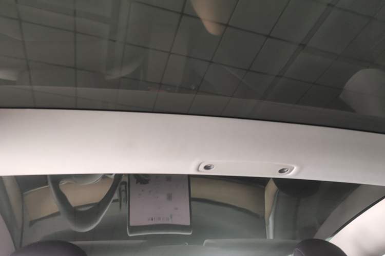 Used Tesla Model 3 2022 Rear-Wheel-Drive Version Headliner