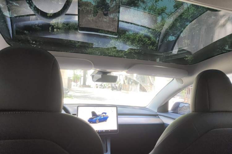 Used Tesla Model 3 2022 Rear-Wheel-Drive Version Headliner