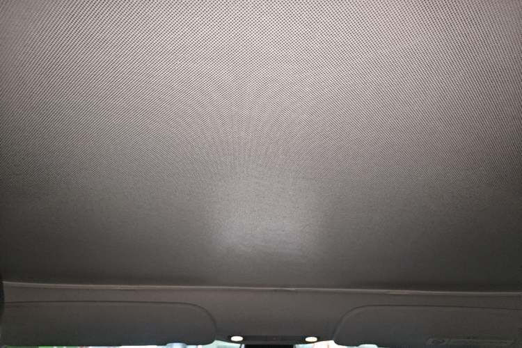 Used Tesla Model 3 2022 Rear-Wheel-Drive Version Headliner