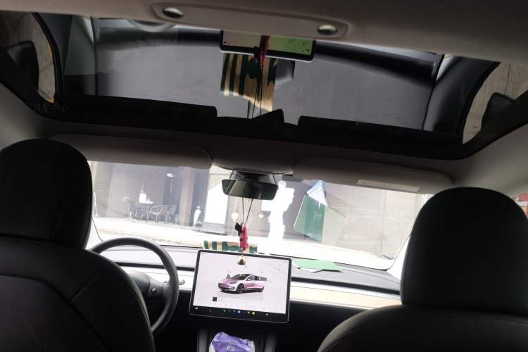 Used Tesla Model 3 2022 Rear-Wheel-Drive Version Headliner