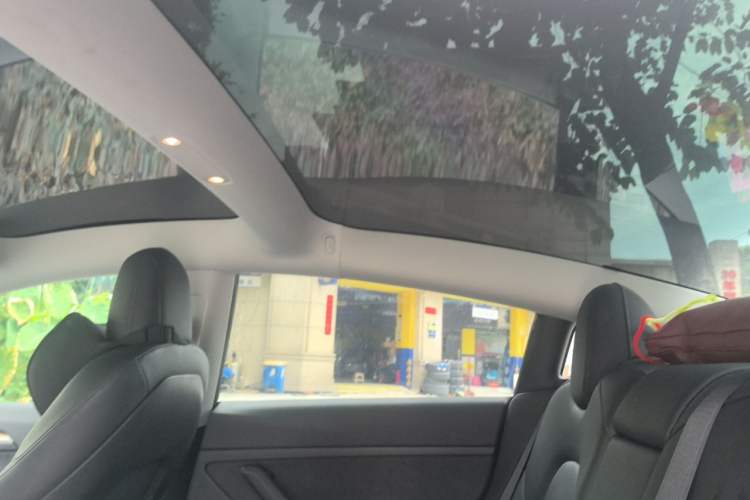 Used Tesla Model 3 2022 Rear-Wheel-Drive Version Headliner