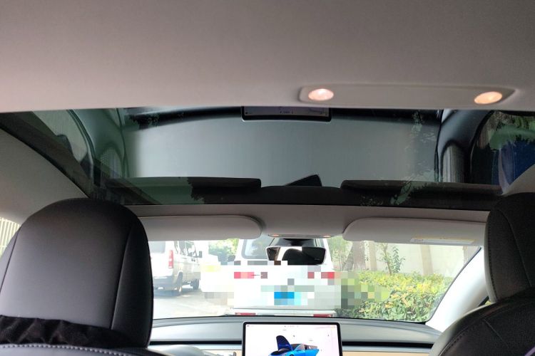 Used Tesla Model 3 2022 Rear-Wheel-Drive Version Headliner