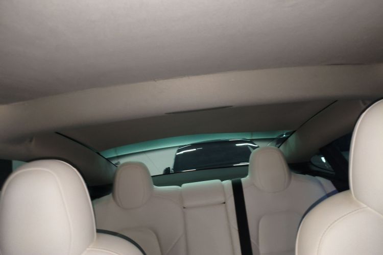 Used Tesla Model 3 2022 Rear-Wheel-Drive Version Headliner
