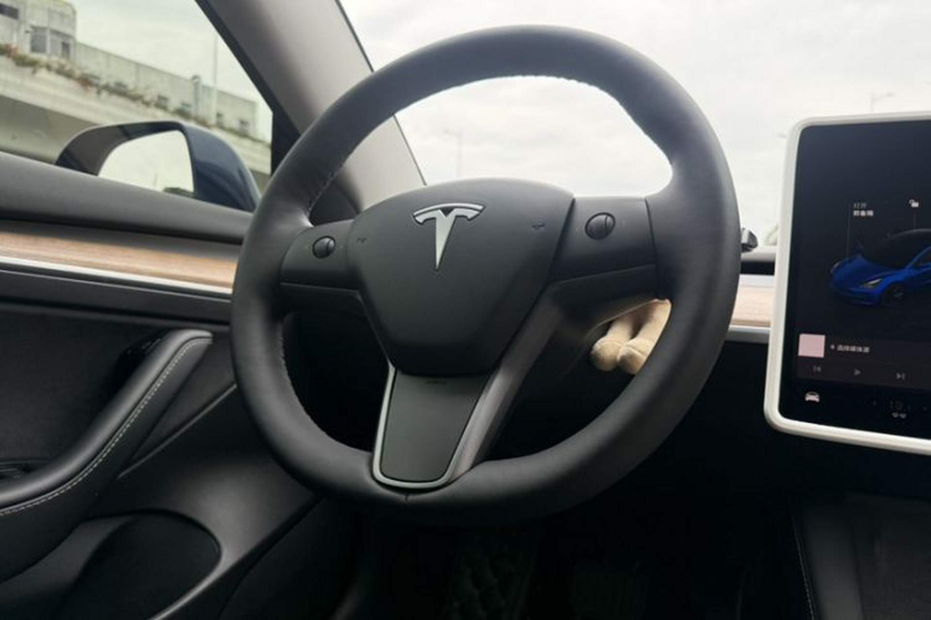 Used Tesla Model 3 2022 Rear-Wheel-Drive Version Interior 4