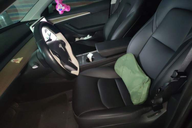 Used Tesla Model 3 2022 Rear-Wheel-Drive Version Left Front Seat