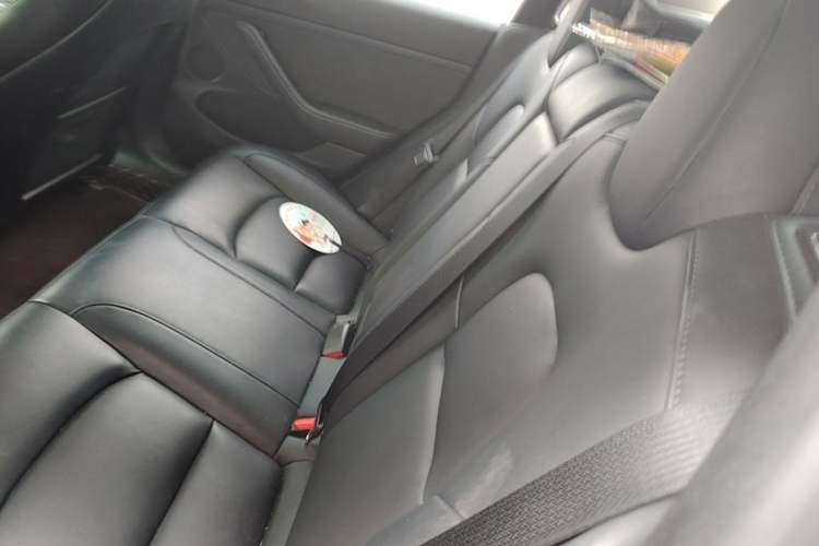Used Tesla Model 3 2022 Rear-Wheel-Drive Version Left Rear Seat