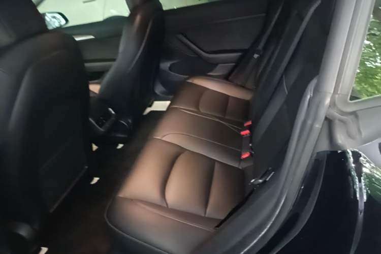 Used Tesla Model 3 2022 Rear-Wheel-Drive Version Left Rear Seat