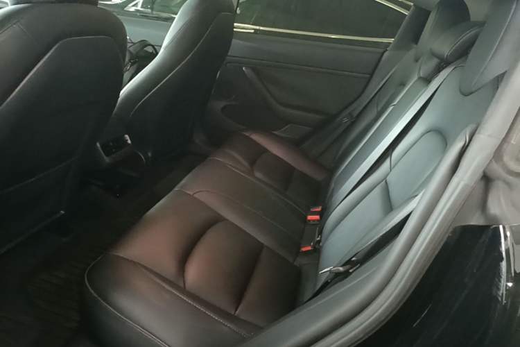 Used Tesla Model 3 2022 Rear-Wheel-Drive Version Left Rear Seat
