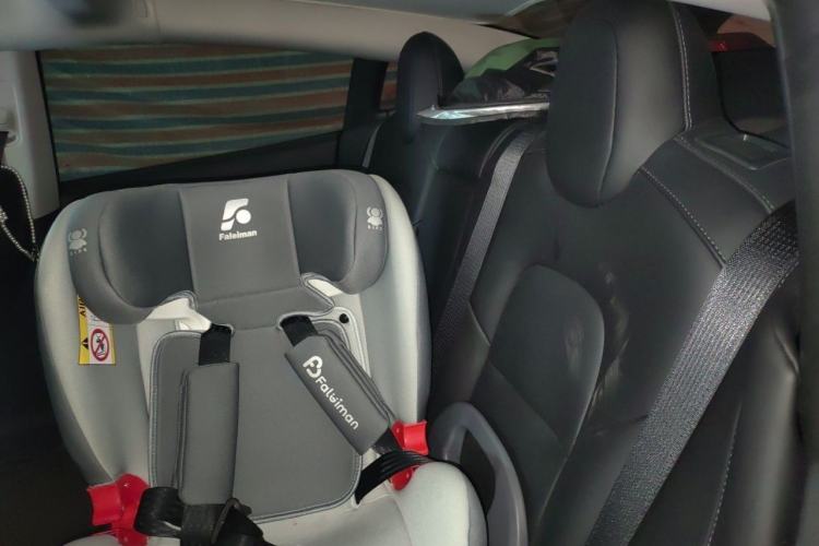 Used Tesla Model 3 2022 Rear-Wheel-Drive Version Left Rear Seat