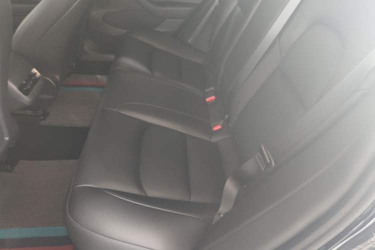 Used Tesla Model 3 2022 Rear-Wheel-Drive Version Left Rear Seat