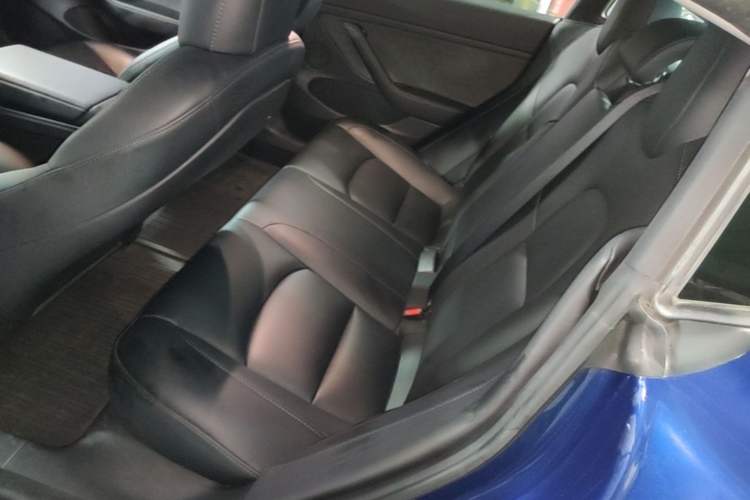 Used Tesla Model 3 2022 Rear-Wheel-Drive Version Left Rear Seat