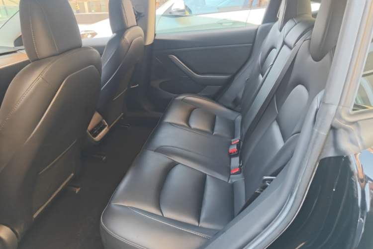 Used Tesla Model 3 2022 Rear-Wheel-Drive Version Left Rear Seat