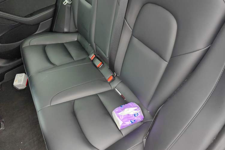 Used Tesla Model 3 2022 Rear-Wheel-Drive Version Left Rear Seat