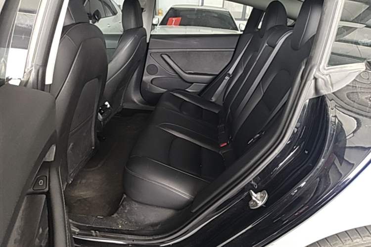 Used Tesla Model 3 2022 Rear-Wheel-Drive Version Left Rear Seat