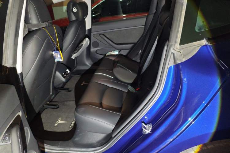 Used Tesla Model 3 2022 Rear-Wheel-Drive Version Left Rear Seat