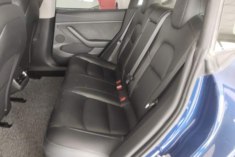 Used Tesla Model 3 2022 Rear-Wheel-Drive Version Left Rear Seat