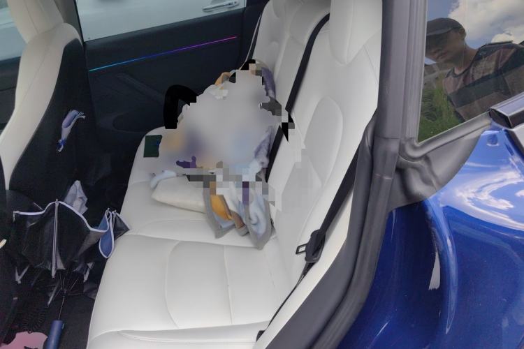 Used Tesla Model 3 2022 Rear-Wheel-Drive Version Left Rear Seat
