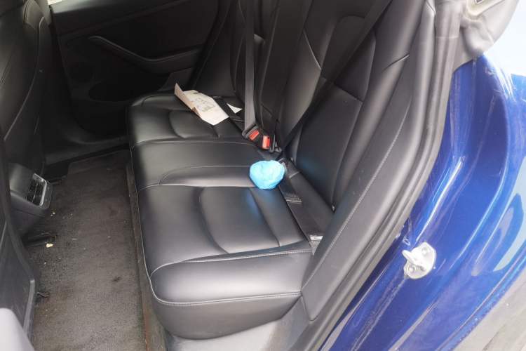 Used Tesla Model 3 2022 Rear-Wheel-Drive Version Left Rear Seat