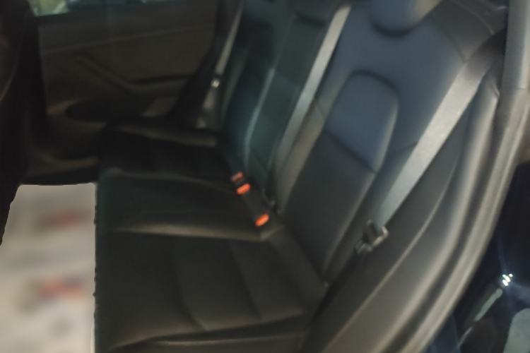 Used Tesla Model 3 2022 Rear-Wheel-Drive Version Left Rear Seat