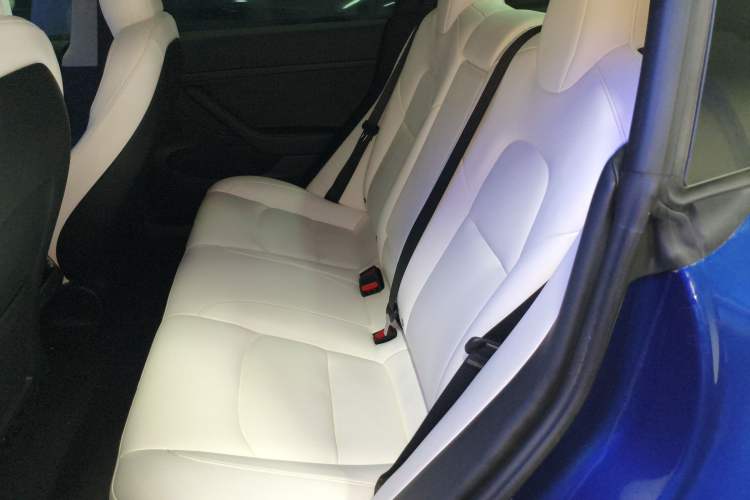 Used Tesla Model 3 2022 Rear-Wheel-Drive Version Left Rear Seat