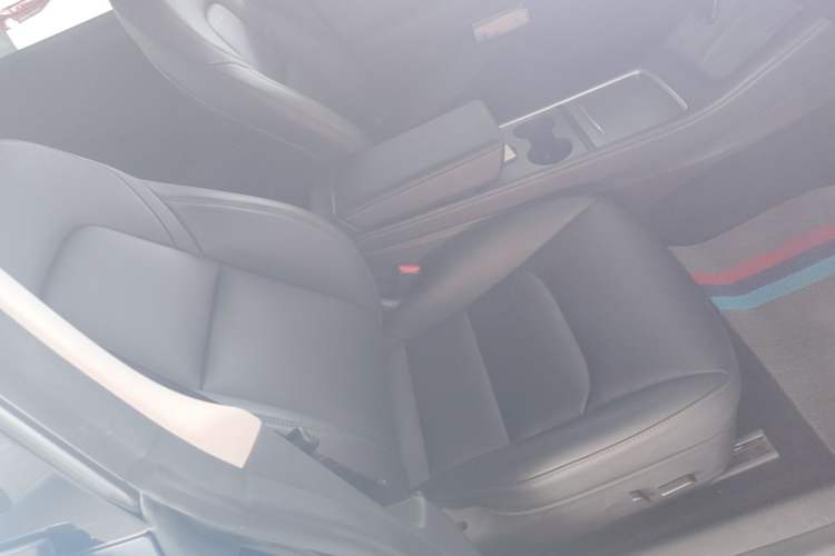 Used Tesla Model 3 2022 Rear-Wheel-Drive Version Right Front Seat