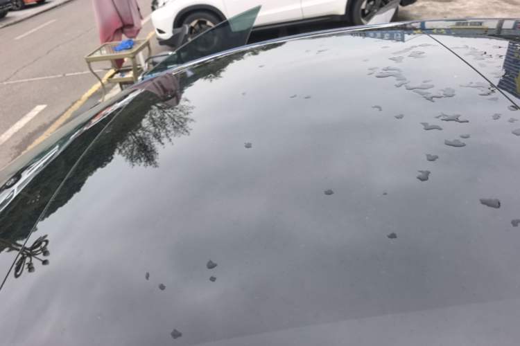 Used Tesla Model 3 2022 Rear-Wheel-Drive Version Roof