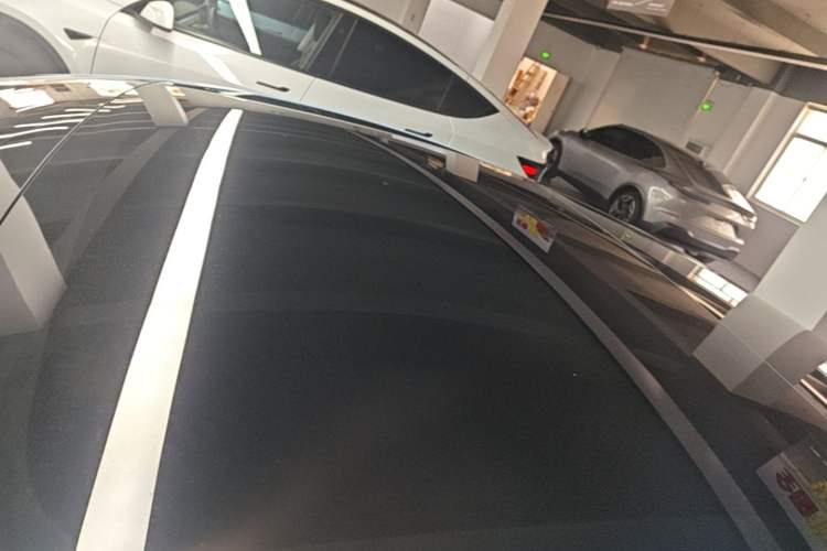 Used Tesla Model 3 2022 Rear-Wheel-Drive Version Roof